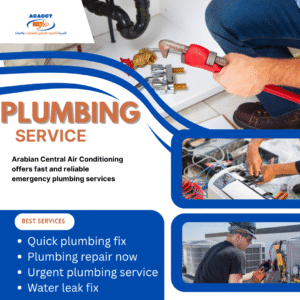 PROFESSIONAL – We Will Fix It for Plumbing Services